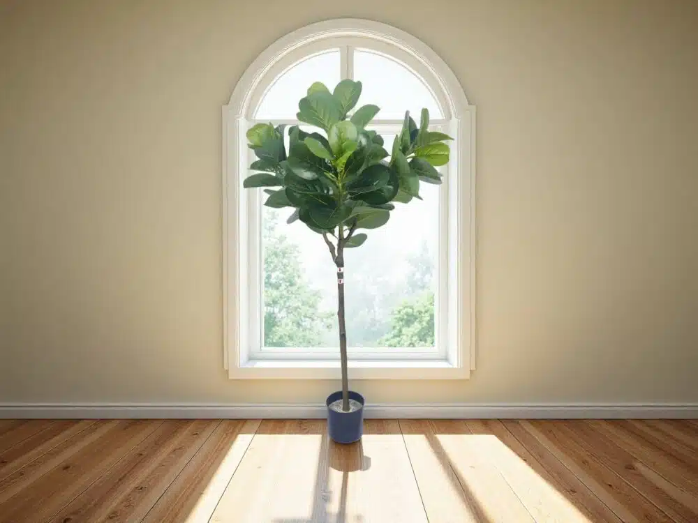 Artificial Fiddle Leaf Fig Tree Indoor