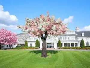 Modular Cherry Blossom Tree