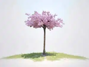 Silk Artificial Cherry Blossom Tree