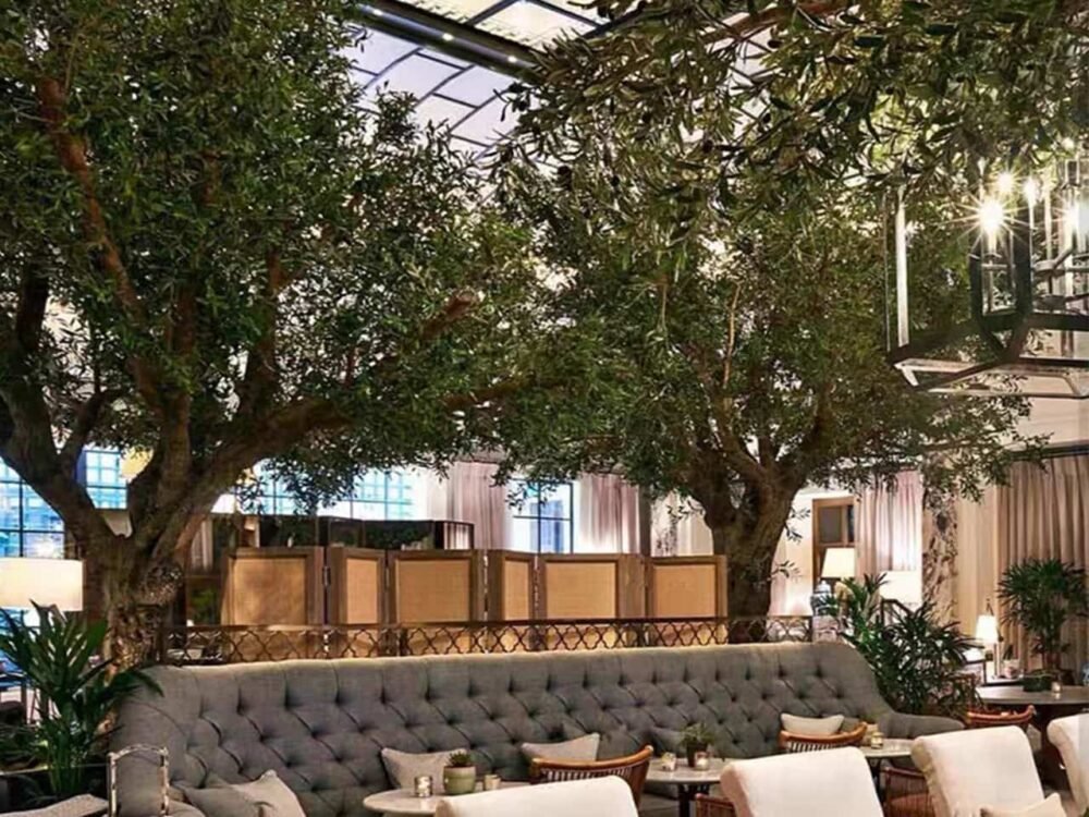 Large Artificial Olive Tree Indoor