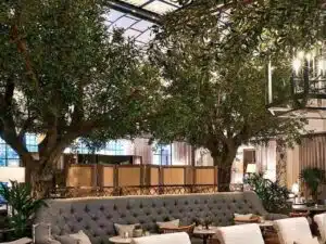 Large Artificial Olive Tree Indoor