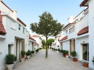 Extra Large Artificial Olive Tree