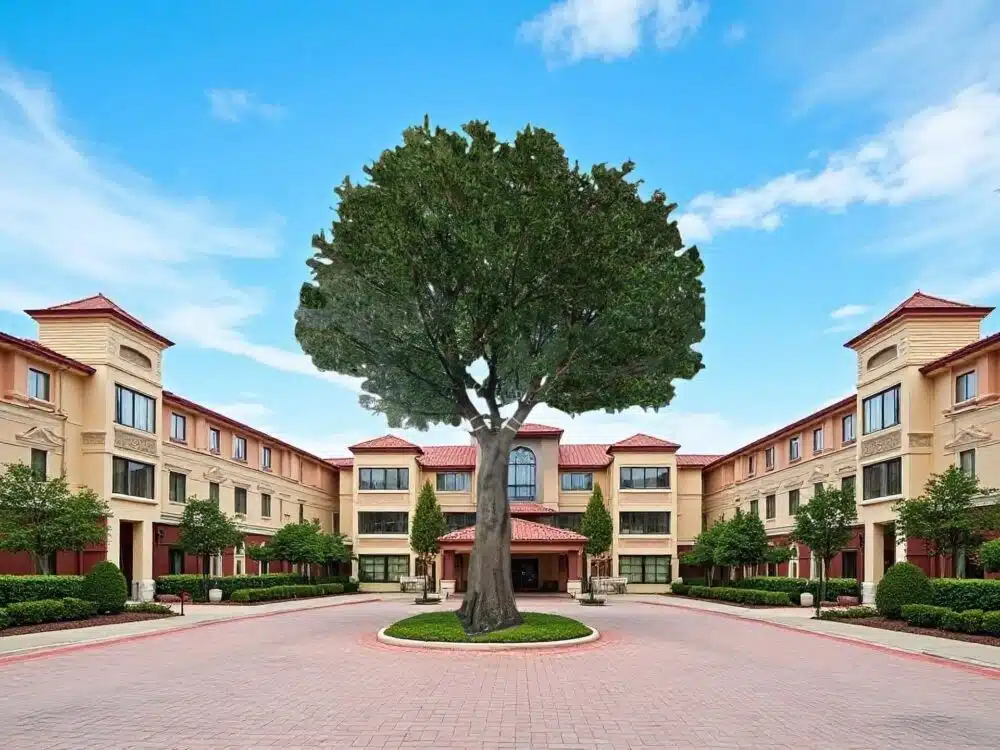 Artificial Olive Tree For Adjustable Branches