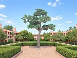 Artificial Pine Tree With Fiberglass Trunk