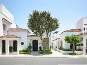 Easy Assembly Artificial Olive Tree