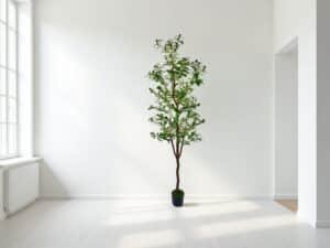artificia olive tree outdoor