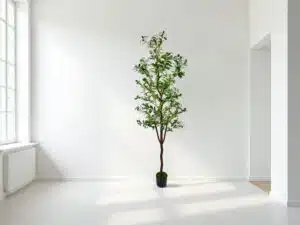 artificia olive tree outdoor