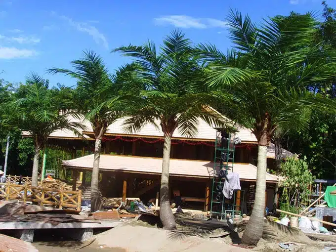 20ft Artificial Coconut Tree - Image 2