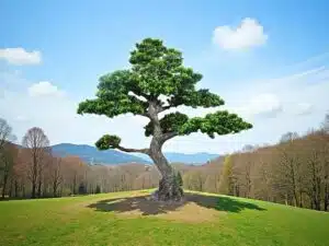 16ft Artificial Pine Tree