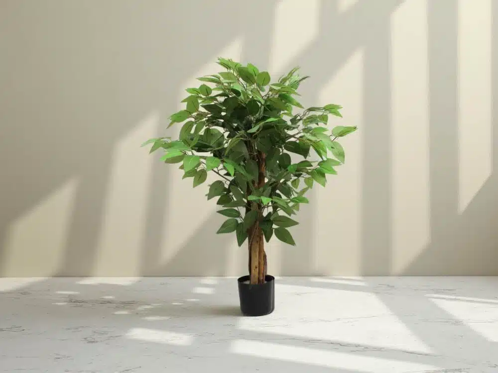 Mini Artificial Ficus Tree