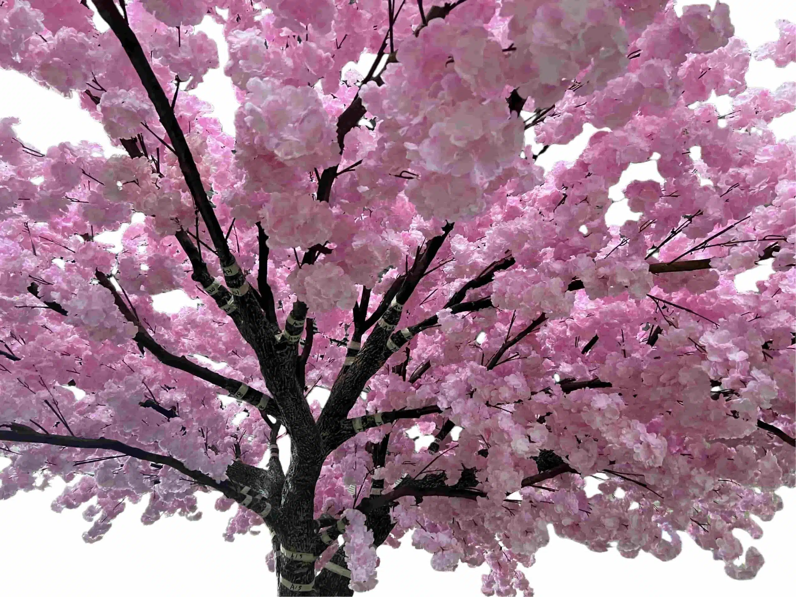 Silk Artificial Cherry Blossom Tree - Image 4