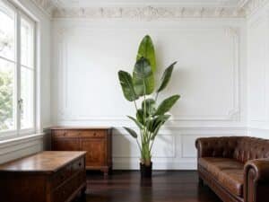 7ft Artificial Bird Of Paradise Plan
