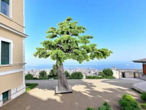 Artificial Pine Tree Restaurant Decor