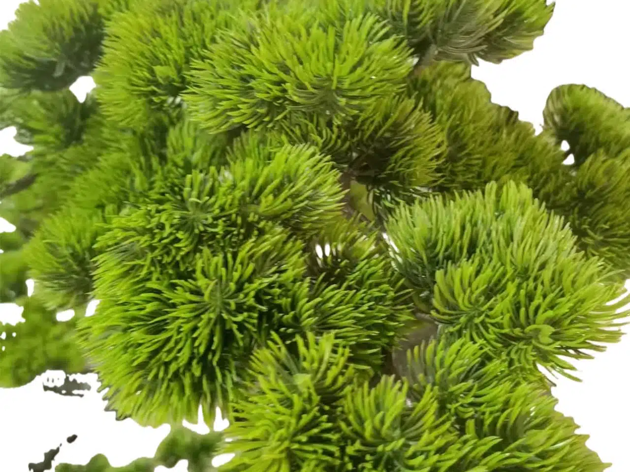 Modern Minimalist Artificial Pine Tree - Image 3