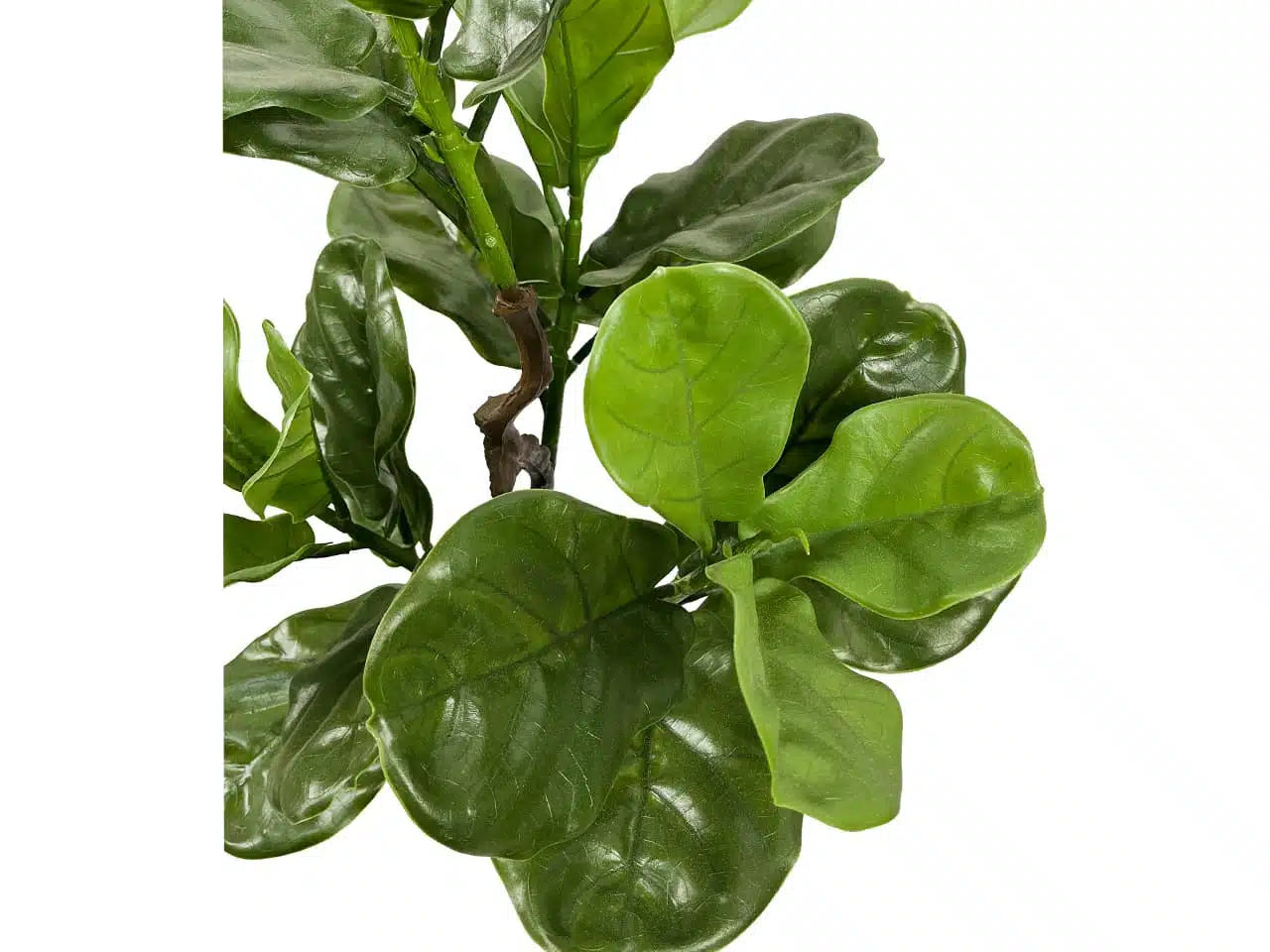Artificial Fiddle Leaf Fig Tree Outdoor - Image 4