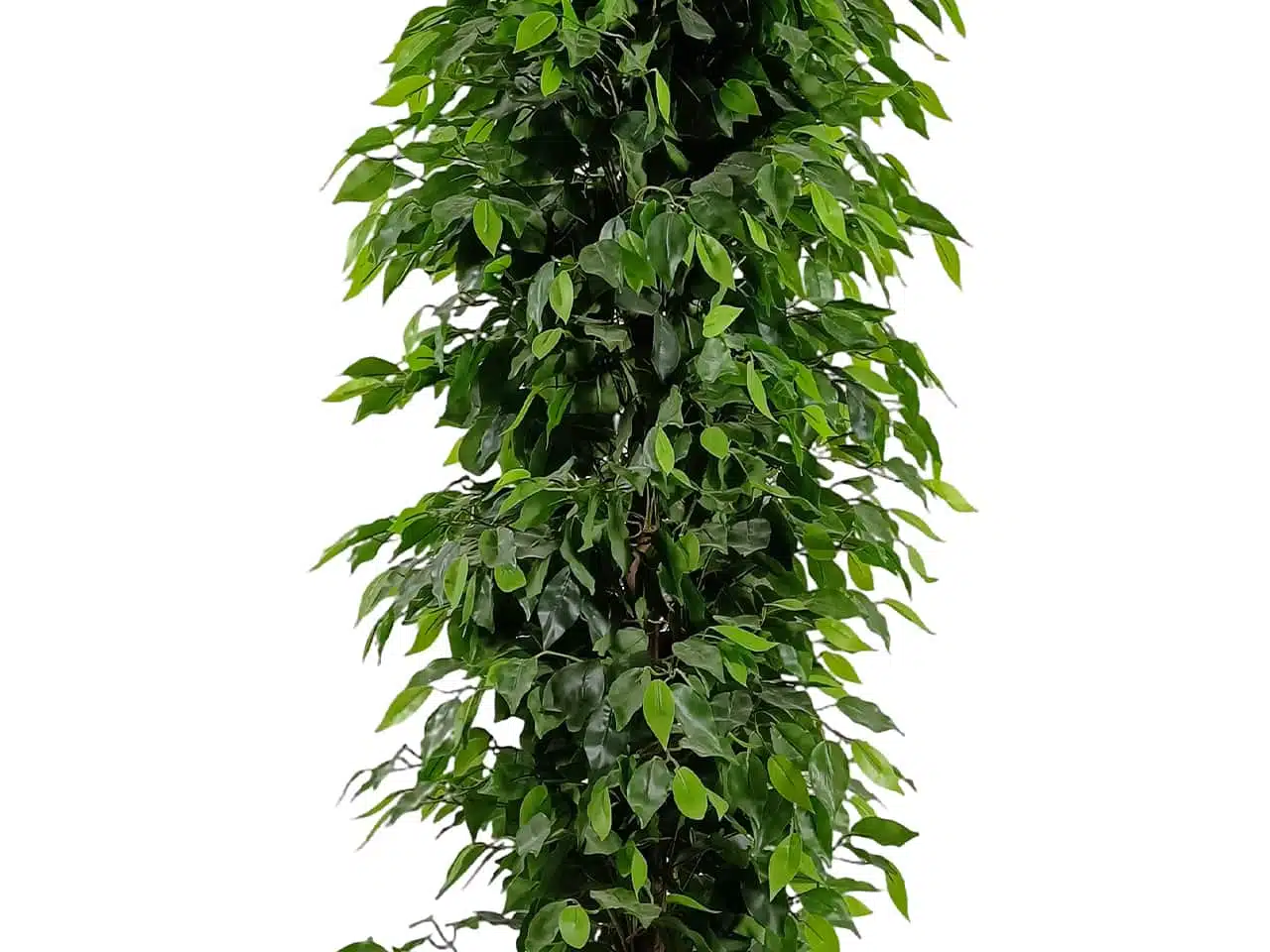 Artificial Ficus Tree 8ft-3