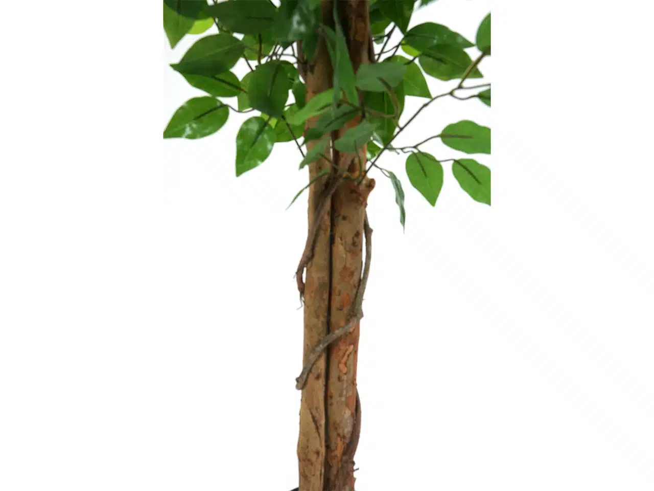 Artificial Ficus Tree - Image 4