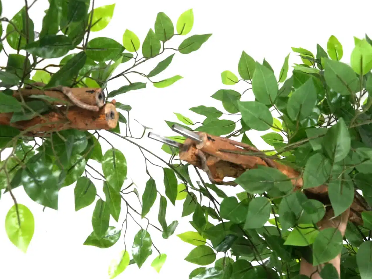 Artificial Ficus Tree - Image 3