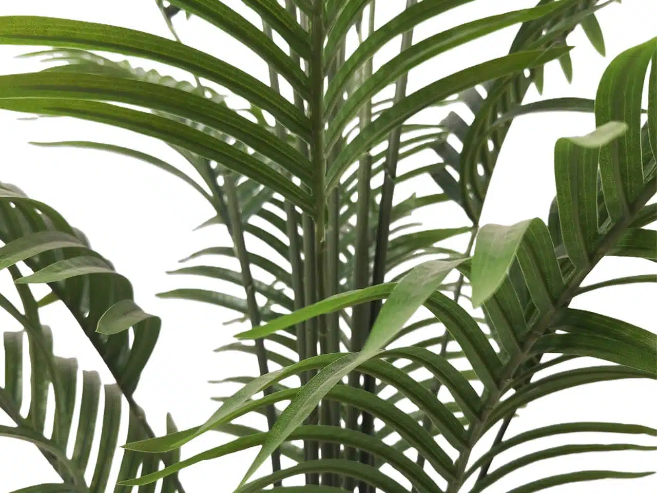 Artificial Palm Tree Indoor - Image 5
