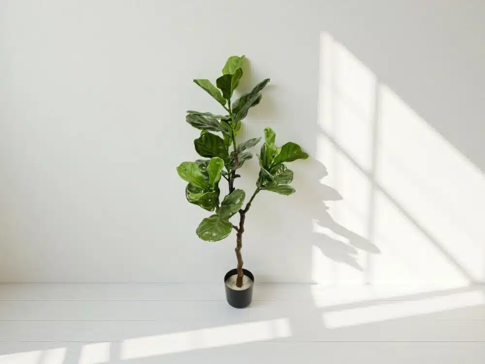 Artificial Fiddle Leaf Fig Tree Outdoor