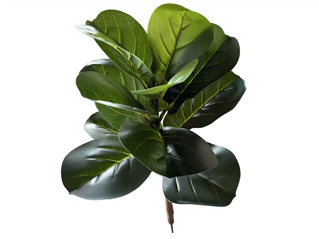 Artificial Fiddle Leaf Fig Tree Dubai - Image 4