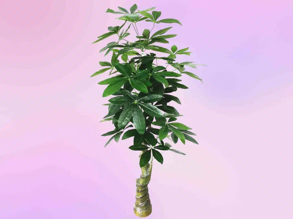 Commercial Grade Artificial Money Tree