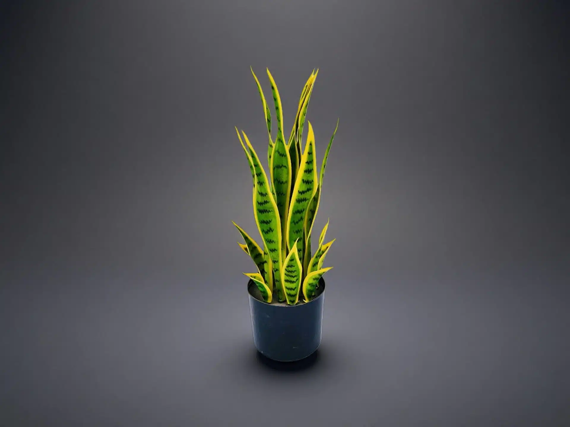 Artificial Snake Plant In Pot