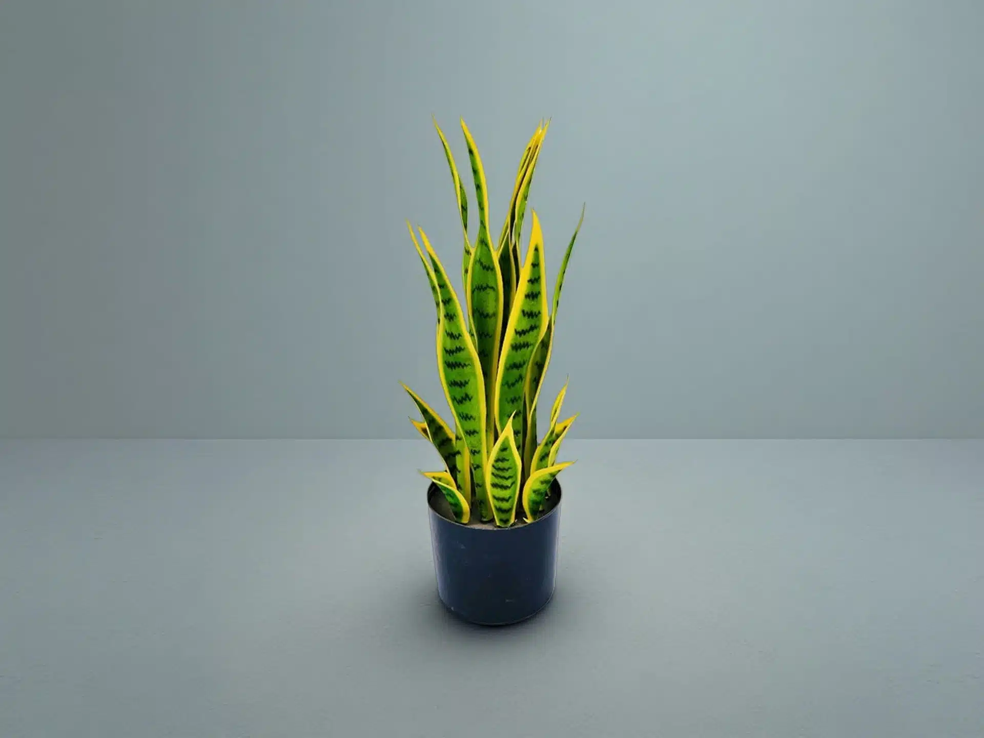 Artificial Snake Plant In Pot