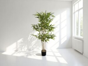 Silk Bamboo Plant
