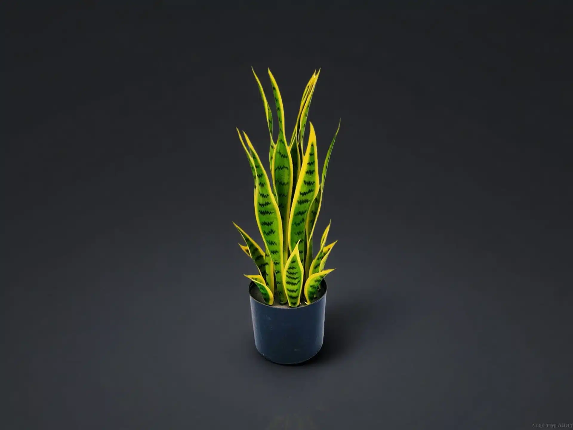 Artificial Snake Plant In Pot - Image 5