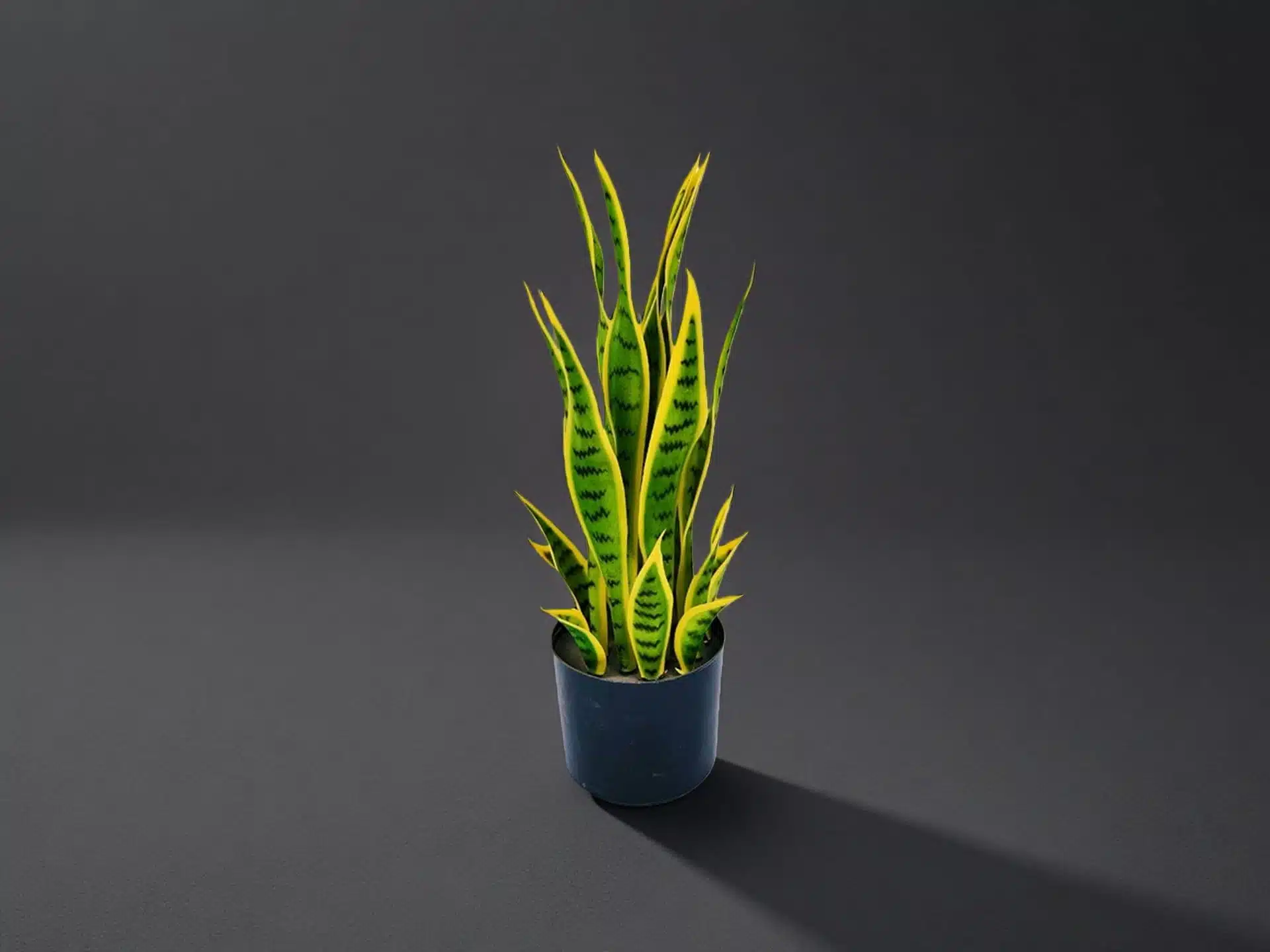 Artificial Snake Plant In Pot - Image 4