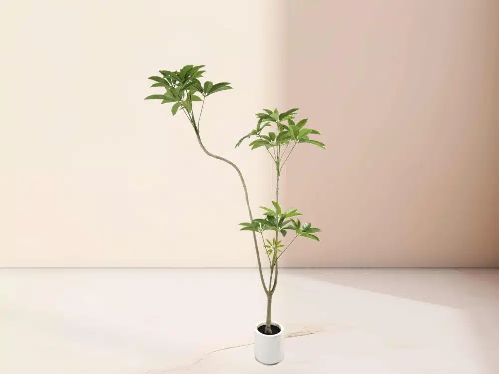 Artificial Money Tree Indoor