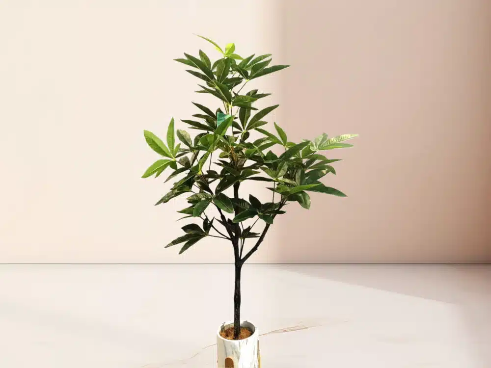 Custom Artificial Money Tree