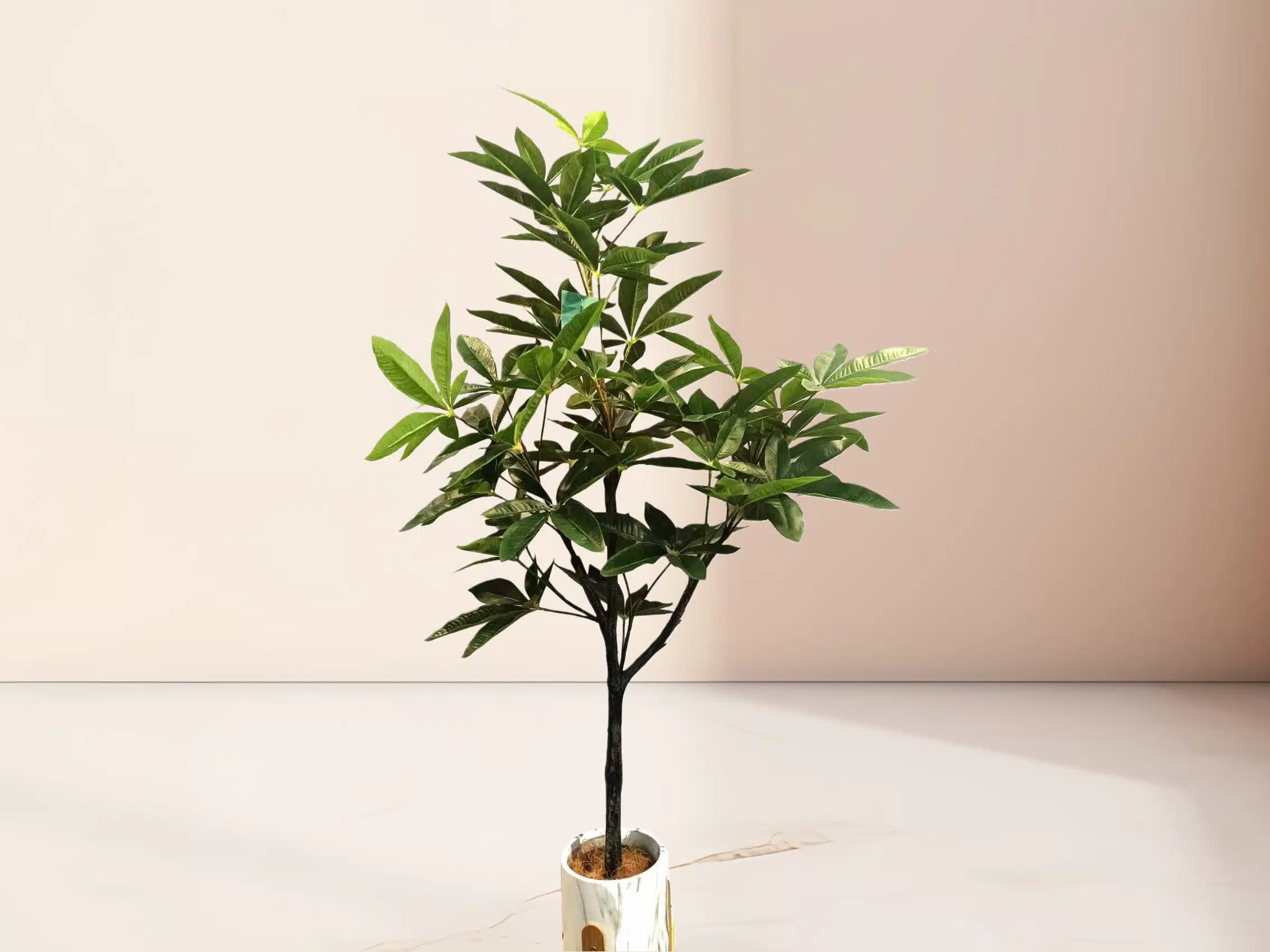 Custom Artificial Money Tree