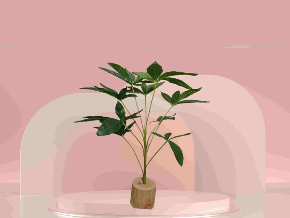 Plastic Money Tree