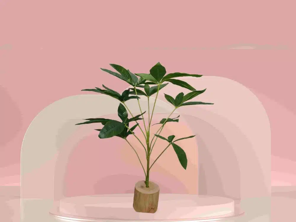Plastic Money Tree