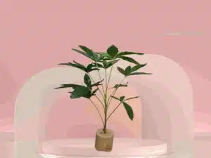Plastic Money Tree
