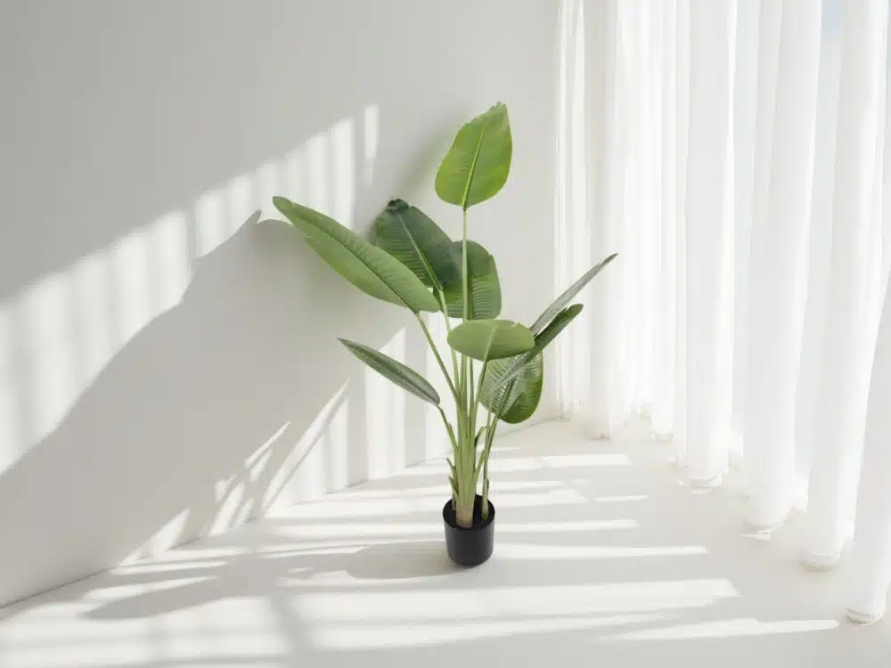 Wholesale Artificial Bird Of Paradise