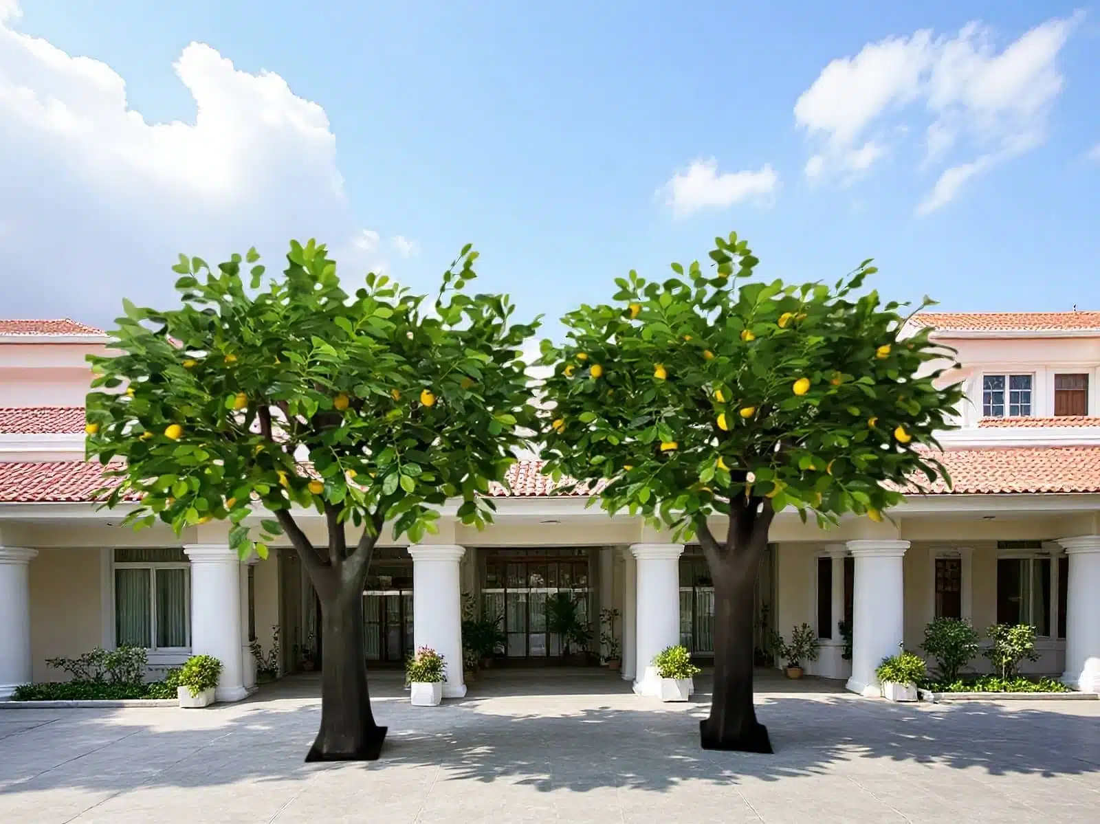 Artificial Lemon Tree Natural Wood Trunk - Image 4