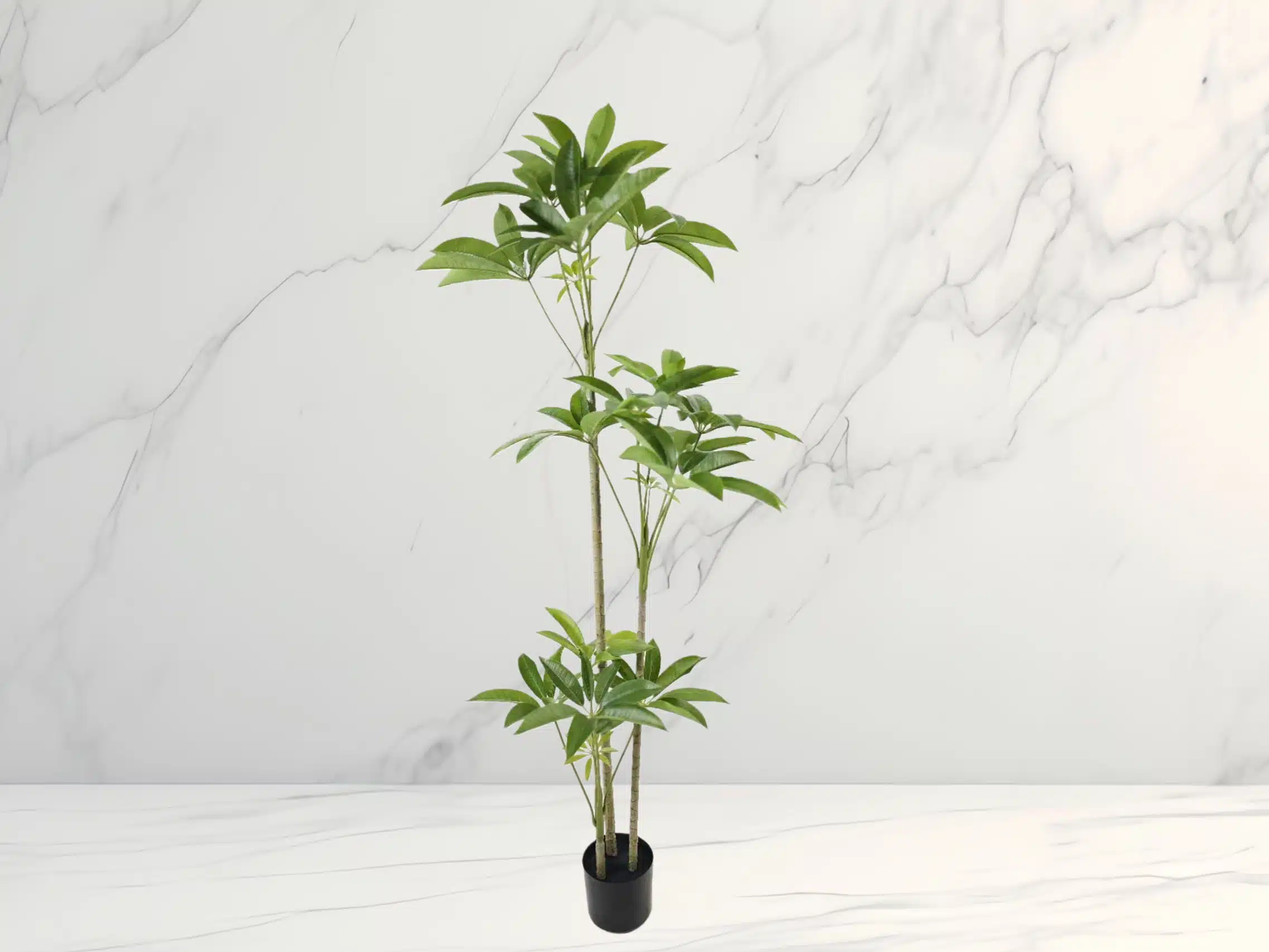 Wholesale Artificial Money Tree - Image 2