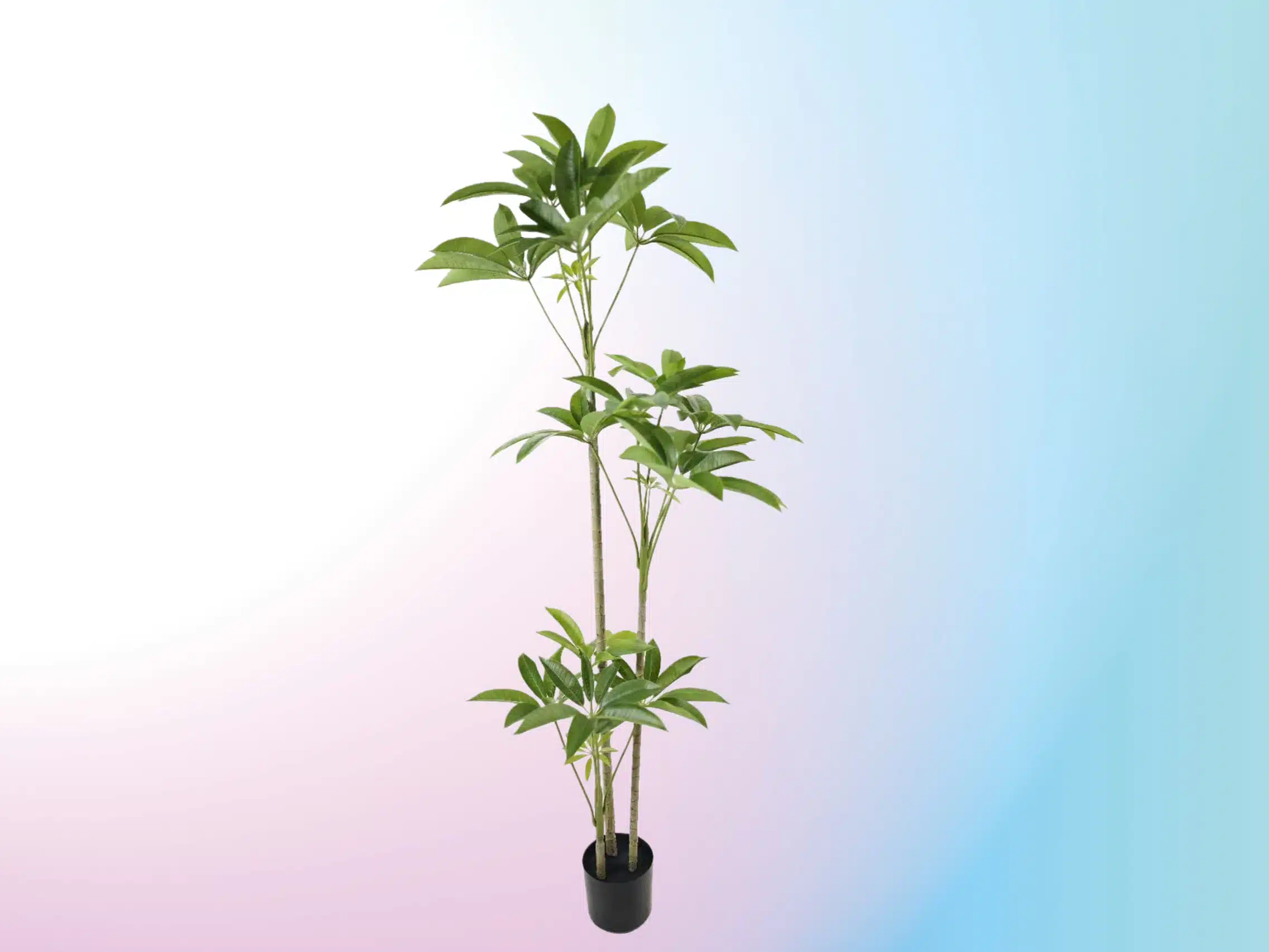 Wholesale Artificial Money Tree - Image 4