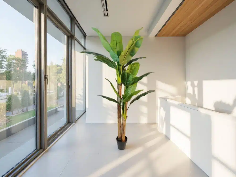 Artificial Banana Tree Uk
