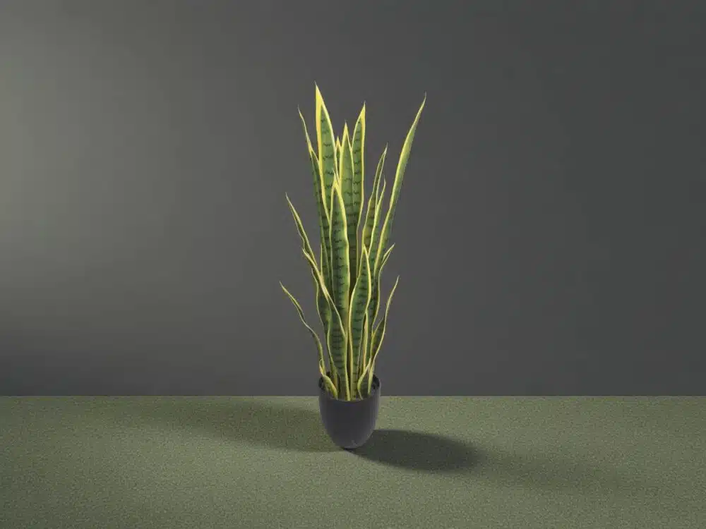 Large Artificial Snake Plant