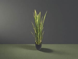 Large Artificial Snake Plant