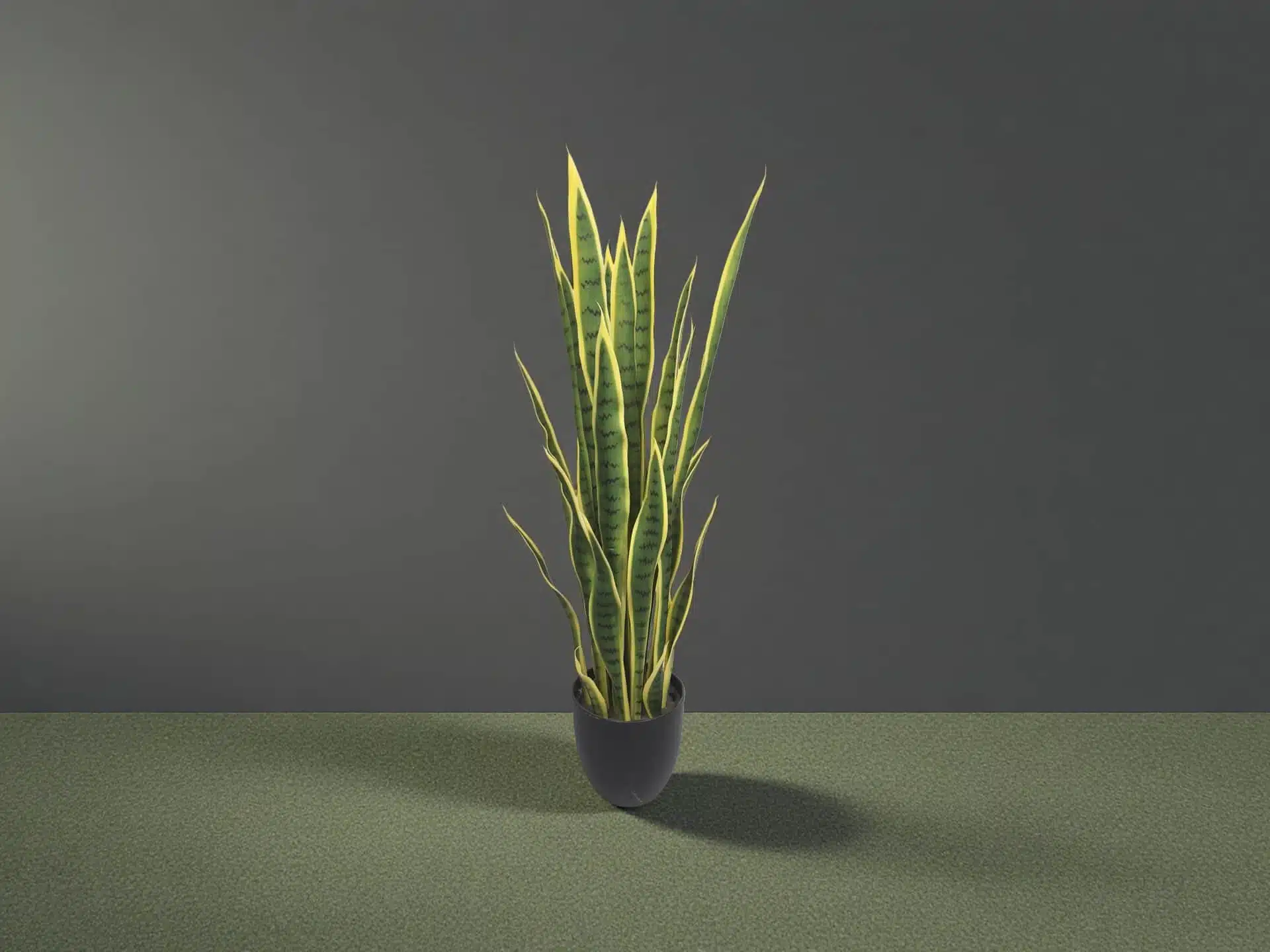 Large Artificial Snake Plant