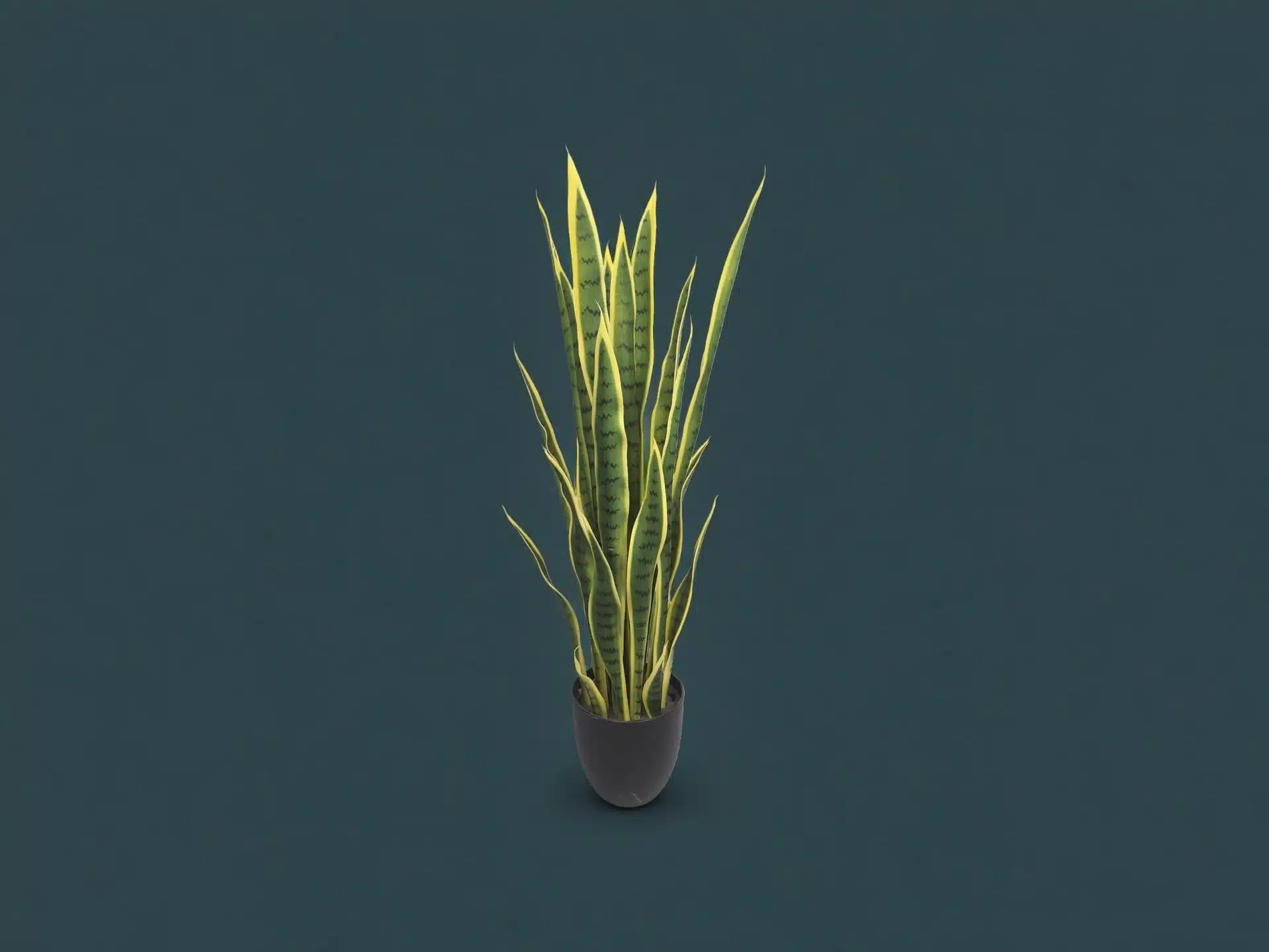 Large Artificial Snake Plant - Image 2