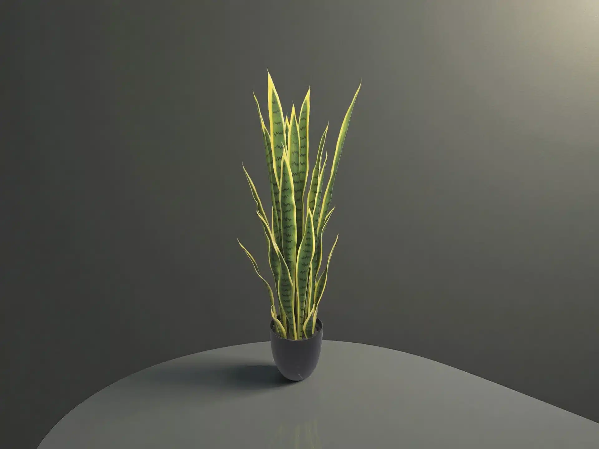 Large Artificial Snake Plant - Image 3