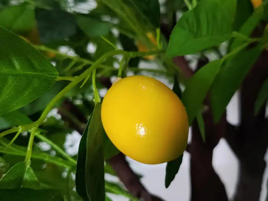 Artificial Lemon Tree - Image 3