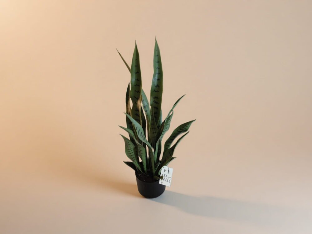 Artificial Snake Plant With Stand