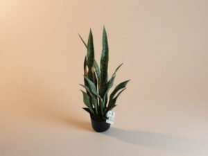 Artificial Snake Plant With Stand
